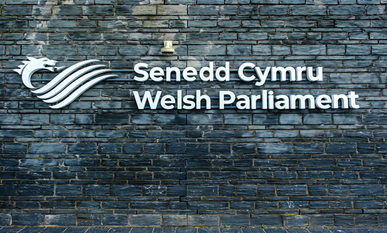 The Senedd needs a fully independent policy for dealing with bullying and harassment